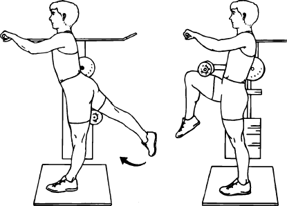 Hip Glute Flexion Standing Machine